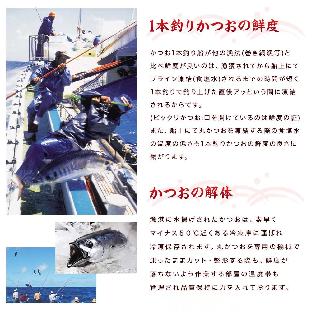 MM-171 枕崎ぶえん鰹0.8Kg  漬け丼3種9袋(かつお・まぐろ・かつおたたき) - 鹿児島県枕崎市｜ふるさとチョイス - ふるさと納税サイト