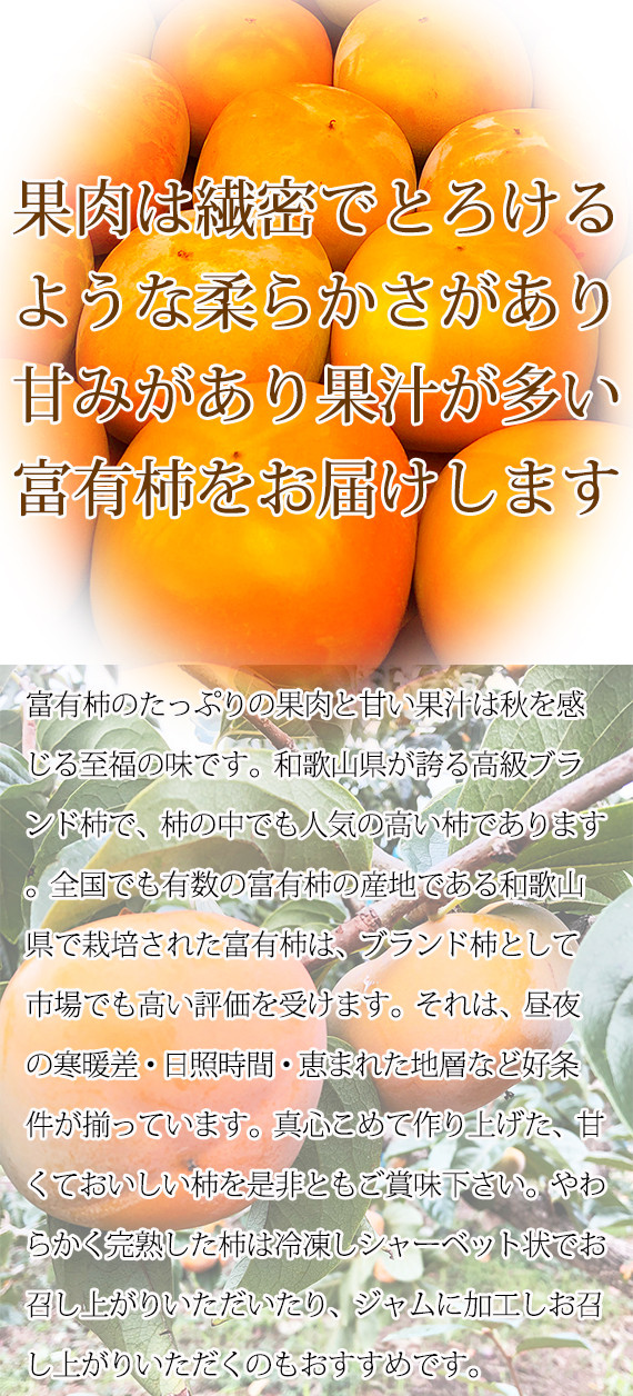 ふるさと納税 和歌山県 串本町 タネなし脱渋甘柿（刀根早生）2Lサイズ32個入7.5kg箱