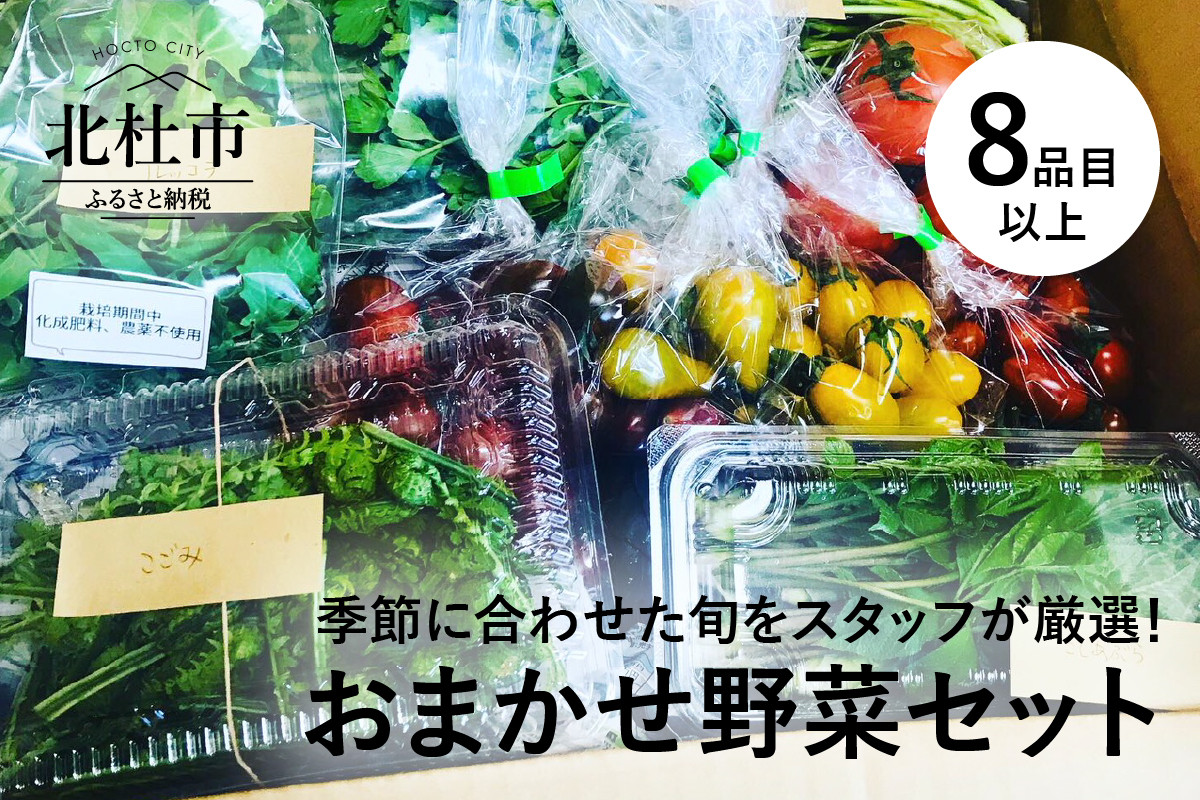ふるさと納税 北杜市 八ヶ岳高原野菜つぶつぶケチャップ6本セット 【86%OFF!】