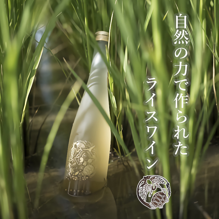 6710円 値引きする ふるさと納税 自然の力で作られた つるかめ農園の日本酒 A846 千葉県いすみ市 6710円 値引きする ふるさと納税 自然の力で作られた つるかめ農園の日本酒 A846 千葉県いすみ市