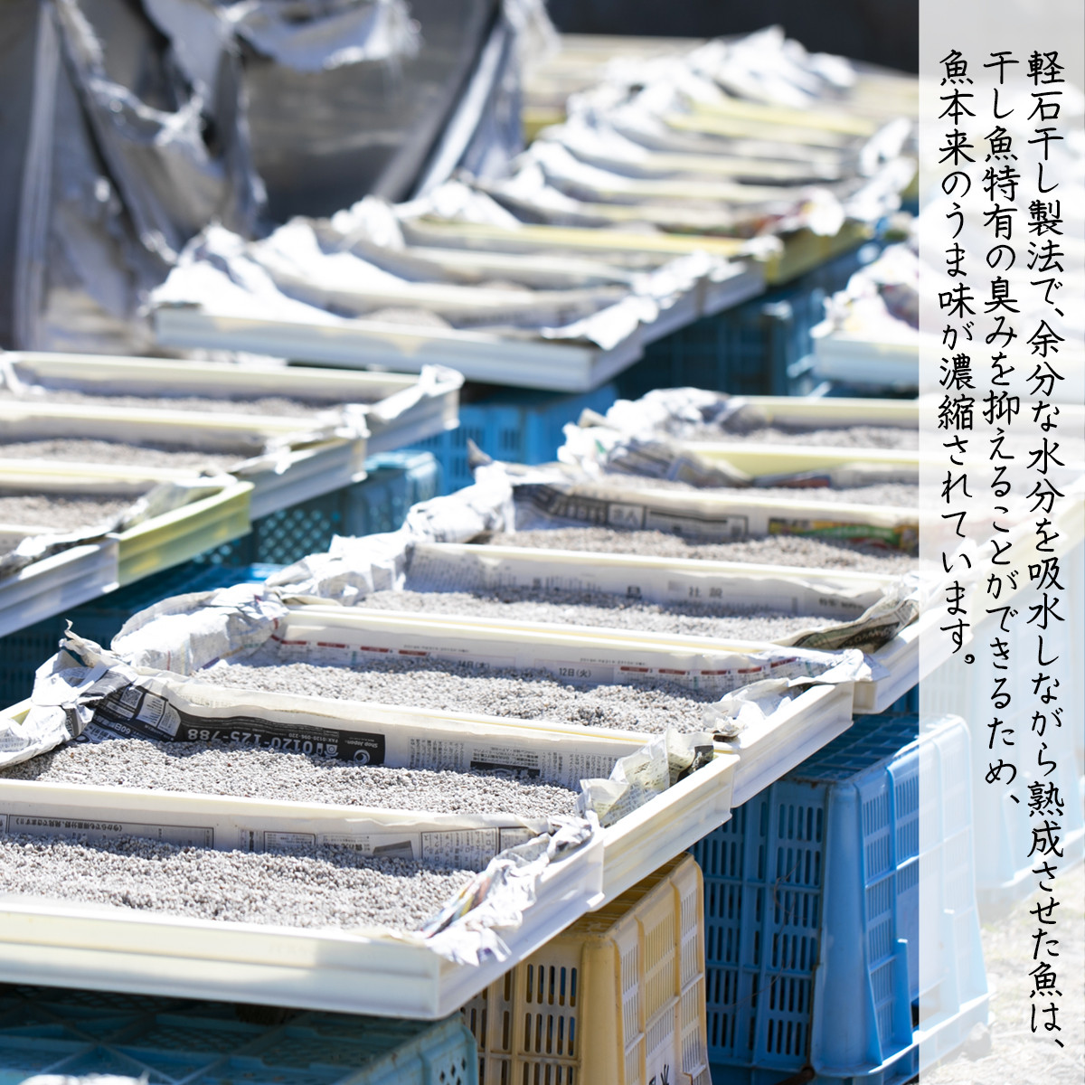 緊急支援品】軽石を使った干物 北海道産 ホッケ（約350ｇ）×2尾 干物