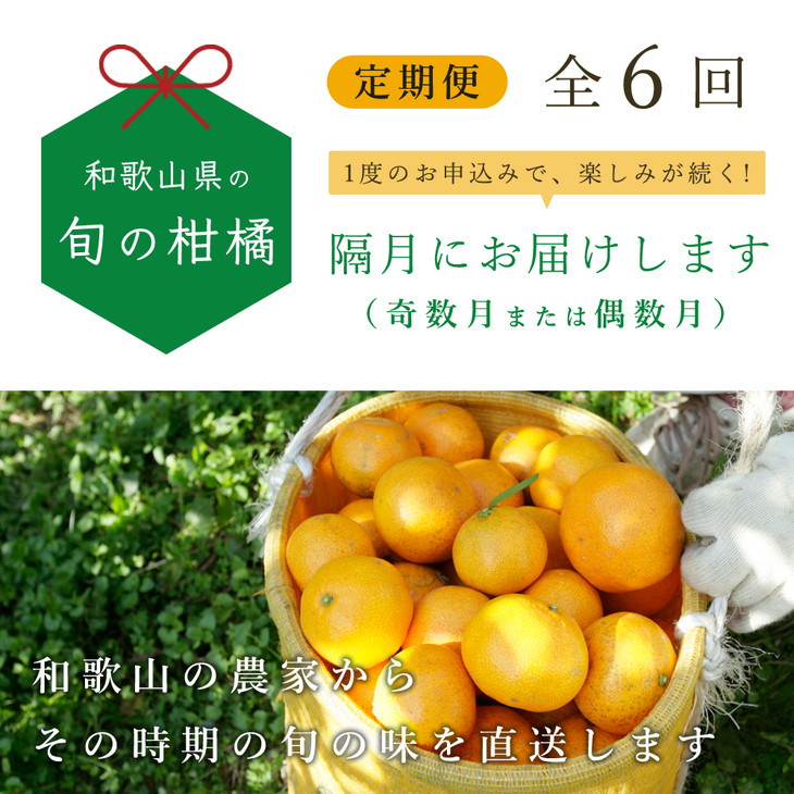 定期便・全6回】厳選【和歌山の季節の柑橘5kg】農家より隔月に直送！【有田のフルーツ定期便】※北海道・沖縄・離島への配送不可 - 和歌山県広川町｜ ふるさとチョイス - ふるさと納税サイト