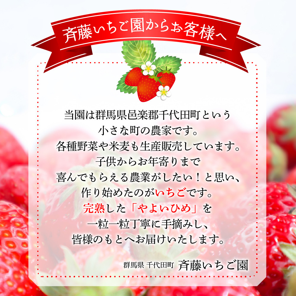 先行予約》※2023年2月より順次発送※ いちご「 やよいひめ 」約270g×4パック 群馬県 千代田町 ＜斉藤いちご園＞ - 群馬県千代田町｜ふるさとチョイス  - ふるさと納税サイト