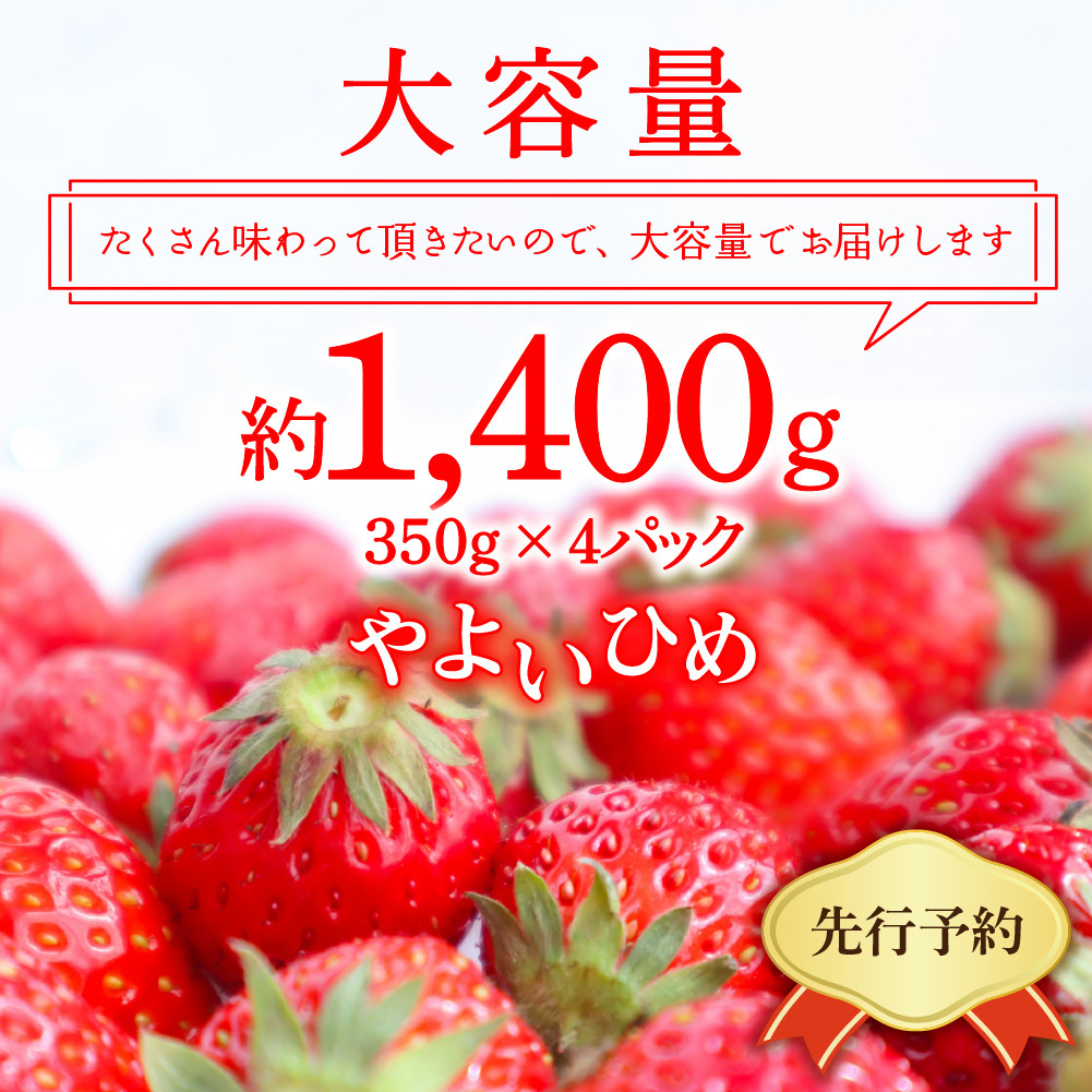 先行予約》※2023年3月より順次発送※ いちご「 やよいひめ 」約350g×4パック 群馬県 千代田町 ＜斉藤いちご園＞ - 群馬県千代田町｜ふるさとチョイス  - ふるさと納税サイト