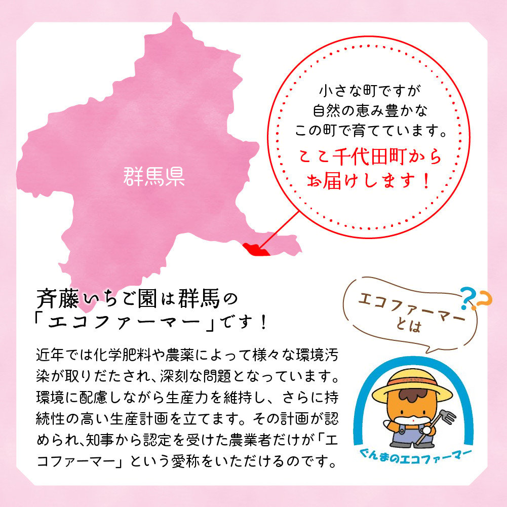 先行予約》※2023年2月より順次発送※ いちご「 やよいひめ 」約270g×4パック 群馬県 千代田町 ＜斉藤いちご園＞ - 群馬県千代田町｜ふるさとチョイス  - ふるさと納税サイト