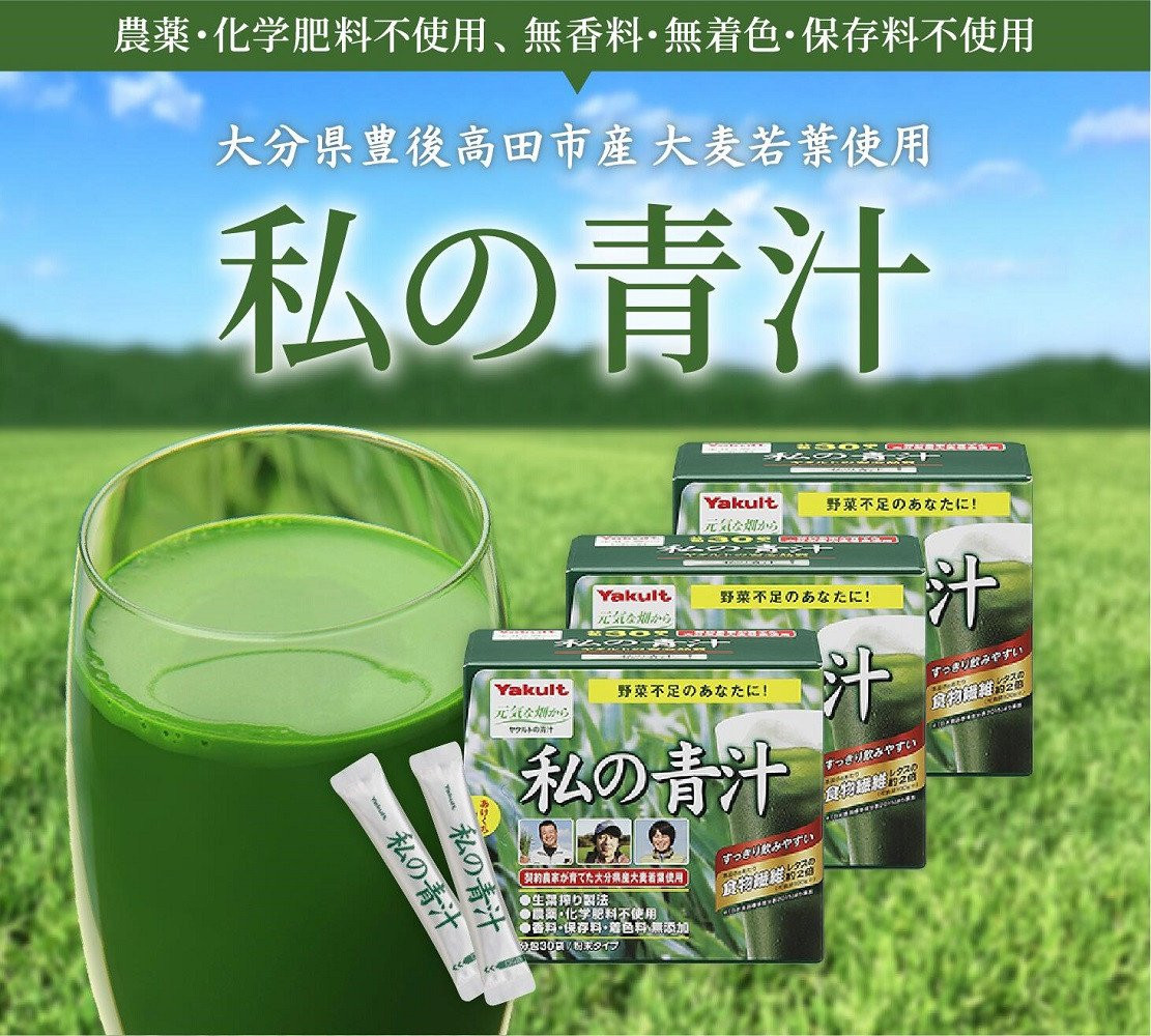 885円 【93%OFF!】 大麦若葉青汁 粉末 500g 九州産 茶製法 国産