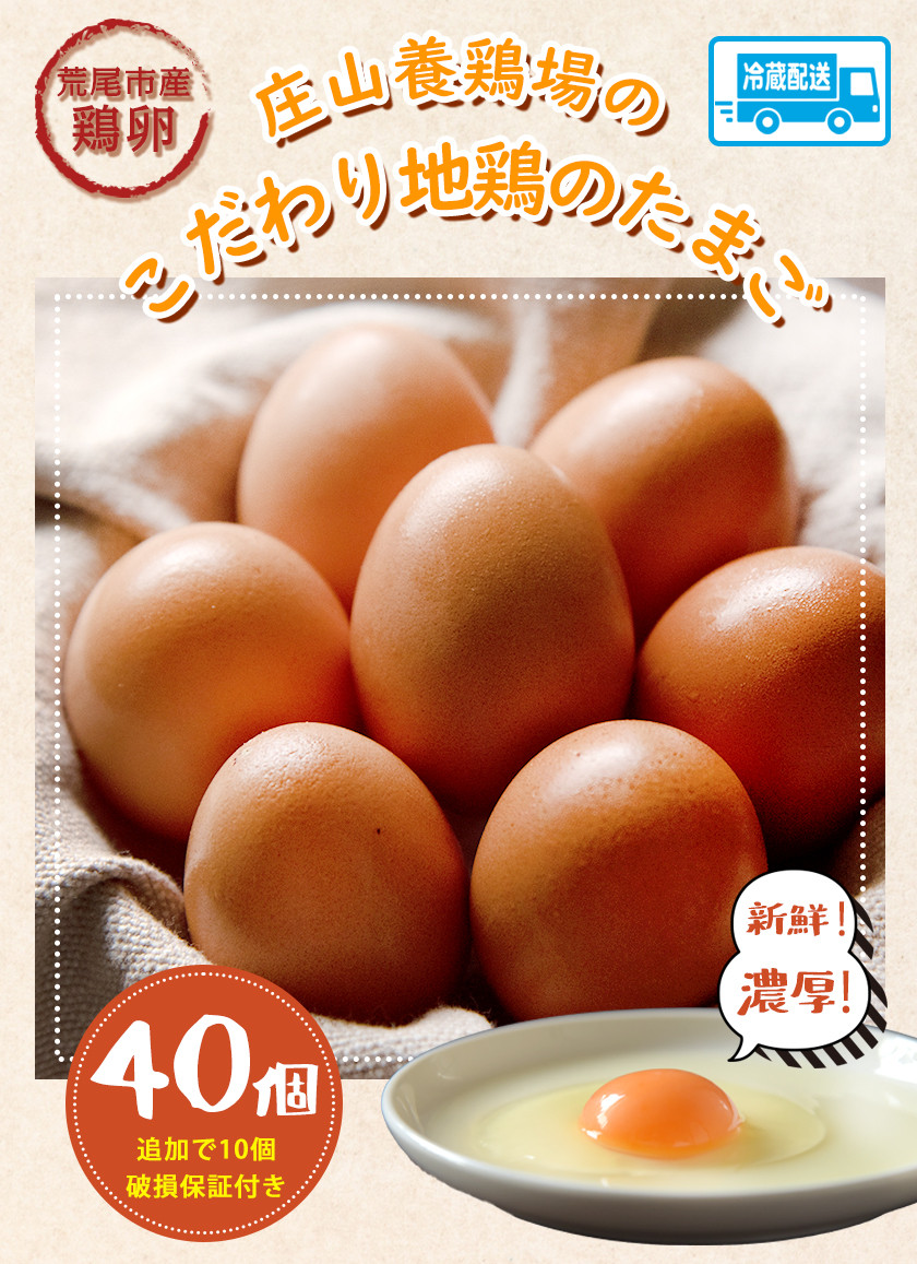 地鶏の卵 40個 割れ保障10個付き 庄山養鶏場 荒尾市産《30日以内に順次出荷(土日祝除く)》 - 熊本県荒尾市｜ふるさとチョイス - ふるさと納税 サイト