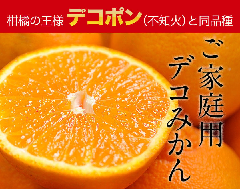 デコみかん (デコポン と同品種 不知火 ) ご家庭用 熊本県産 ( 荒尾市産含む ) 訳あり 約5kg前後(12-24玉前後) 《2023年2月末-4月末頃より順次出荷》  柑橘 みかん フルーツ 不知火 先行予約 訳あり 訳アリ でこみかん 果物 生産量全国一位！ - 熊本県荒尾市｜ふるさと ...