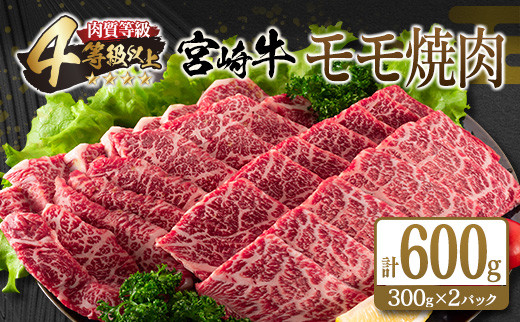 宮崎牛 モモ 焼肉 計600g 肉 牛 牛肉 黒毛和牛 赤身 国産 おかず 食品