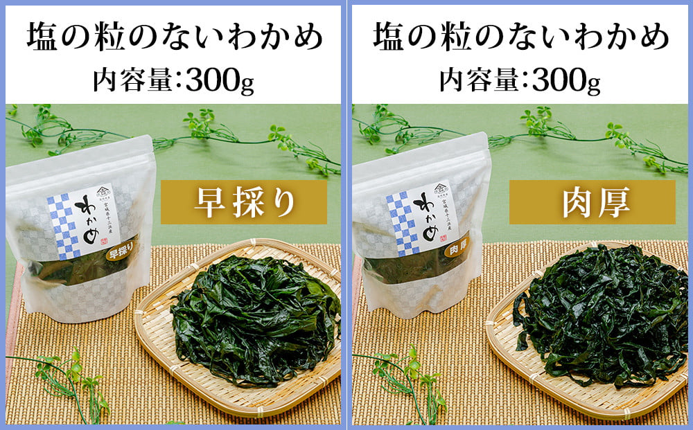 佐利水産のわかめ 昆布6種セット 宮城県石巻市 ふるさと納税 ふるさとチョイス