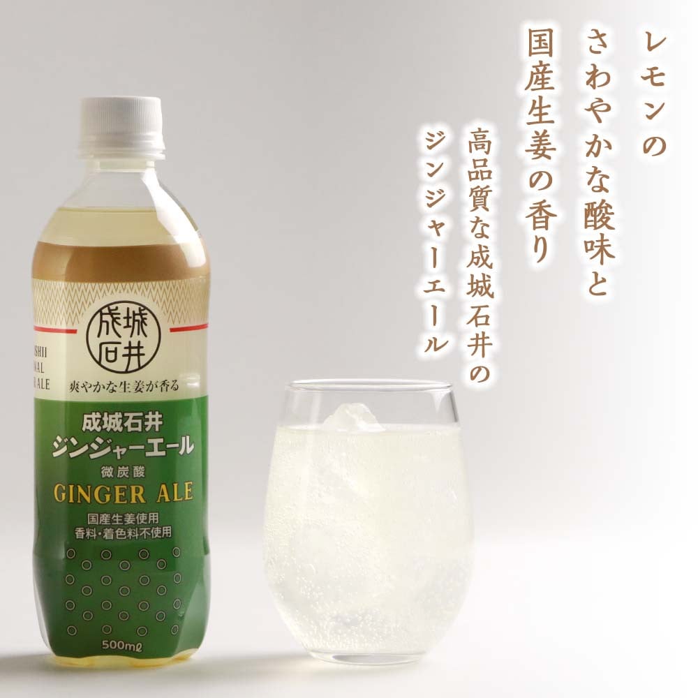 成城石井》ジンジャーエール 500ml×24本（1ケース） - 北海道千歳市