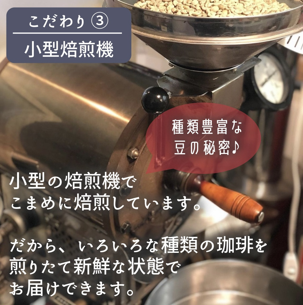 ふるさと納税 埼玉県 鴻巣市 【78coffee】季節のおまかせ珈琲セット