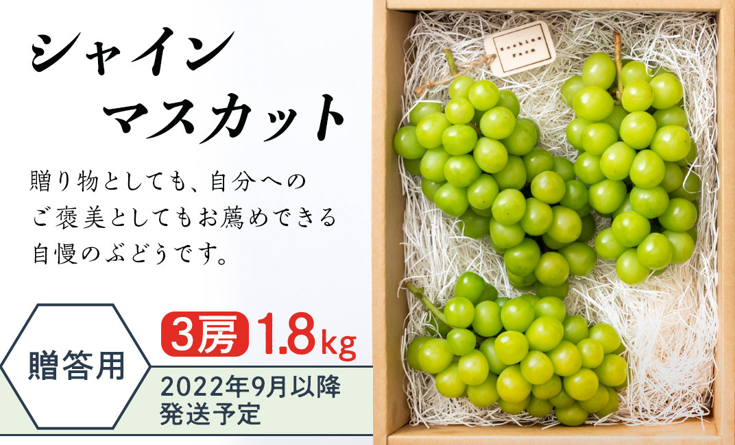 J0705【贈答用】1.8kg(3房)シャインマスカット【2022年9月以降発送予定】Hoshina farm - 長野県長野市｜ふるさとチョイス -  ふるさと納税サイト