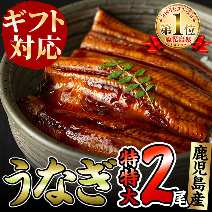 a5-160 【ギフト対応】くすだ屋の極上うなぎ(特特大)2尾＜計380g以上＞ - 志布志市志布志市 | ふるさと納税 [ふるさとチョイス]