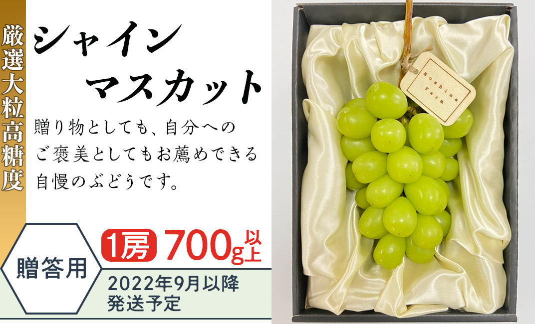 J0704厳選大粒高糖度 贈答用シャインマスカット(1房700g以上)【2022年9