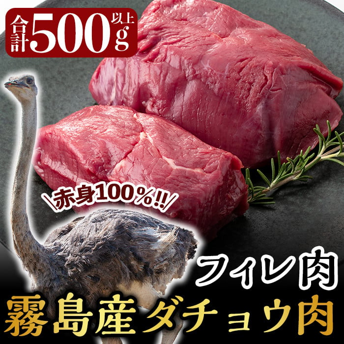 A5-021 国産！ダチョウ肉(フィレ肉500g以上)【ビッグバード・カピリナ】 - 鹿児島県霧島市｜ふるさとチョイス - ふるさと納税サイト