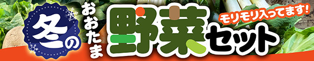 こちらも人気です！