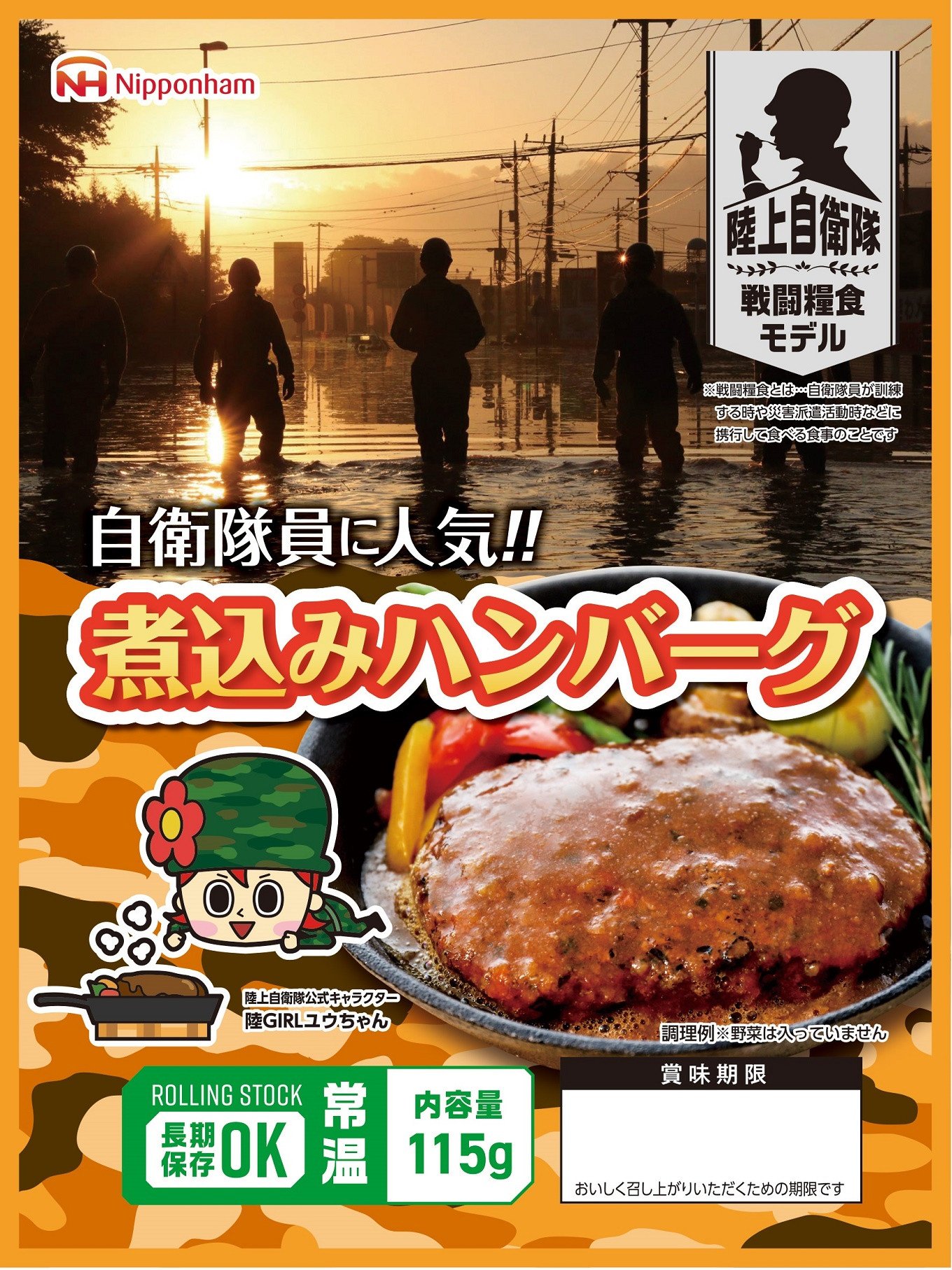 内祝い】 ふるさと納税 《2022年10月中旬頃発送 先行予約》 特選 大黒園の温州みかん 化粧箱入り 3kg 8-02 宮崎県日向市