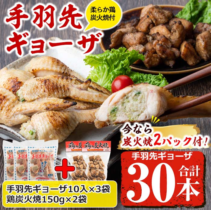 お酒にもご飯にも！今なら柔らか炭火焼２P付きで寄附額 10,000円