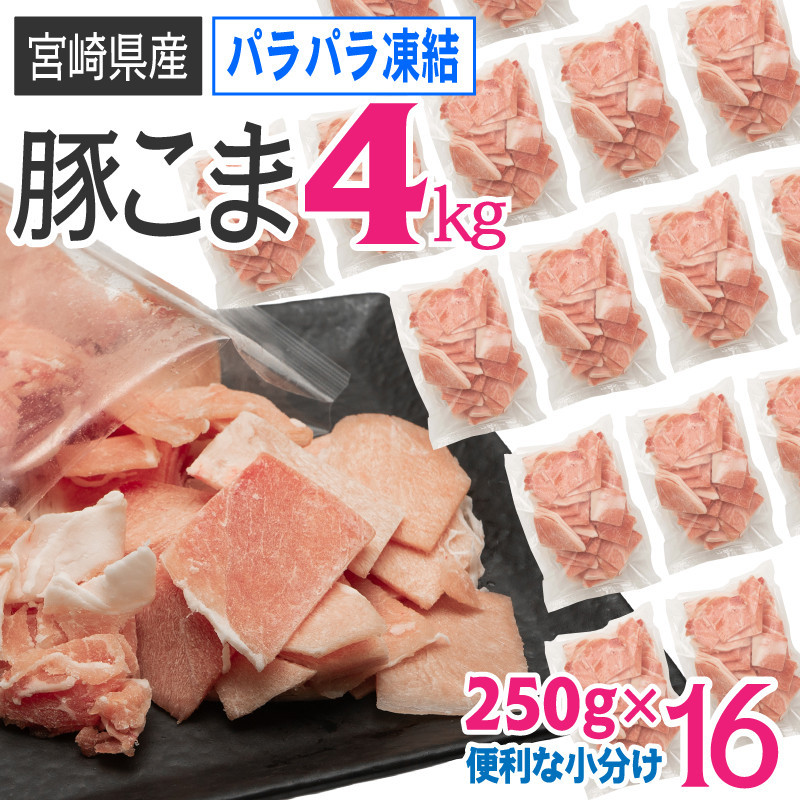 小分け＆パラパラ凍結の豚肉がこのボリュームで寄付金額10,000 円