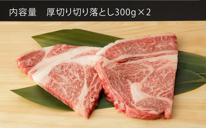 佐賀和牛 ロース 厚切り 切落し600g (300g×2) 【一ノ瀬畜産】 NAC012