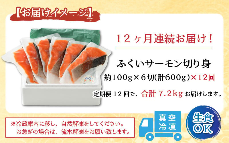 15周年記念イベントが 《定期便3回》ふくいサーモン 切り身 100g×6切 計600g 鮮度抜群 真空冷凍 生食OK 刺身 焼き魚 鮭 国産  ※2023年5月中旬以降発送 somaticaeducar.com.br