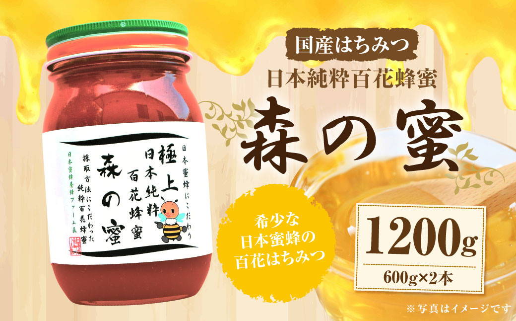 日本ミツバチの蜂蜜 600g×2本-