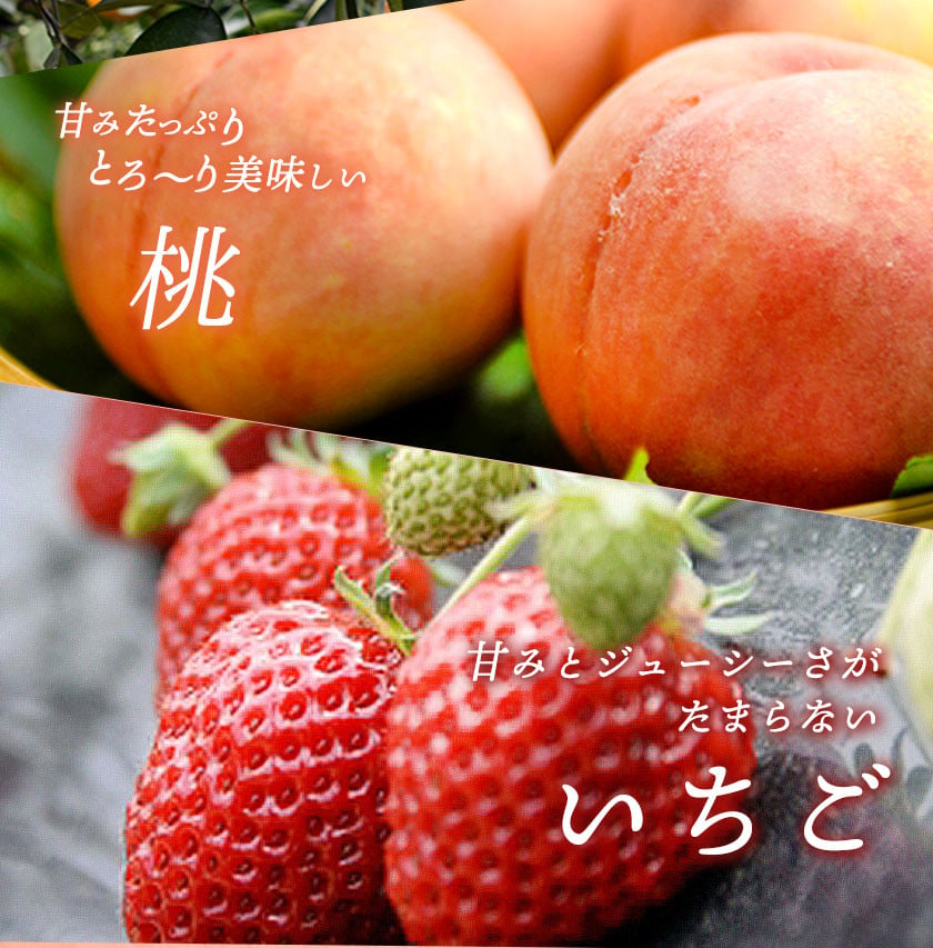 フルーツ羊羹セット もも はっさく いちご 一般社団法人紀の川フルーツ観光局《90日以内に順次出荷(土日祝除く)》和歌山県 紀の川市 -  和歌山県紀の川市｜ふるさとチョイス - ふるさと納税サイト
