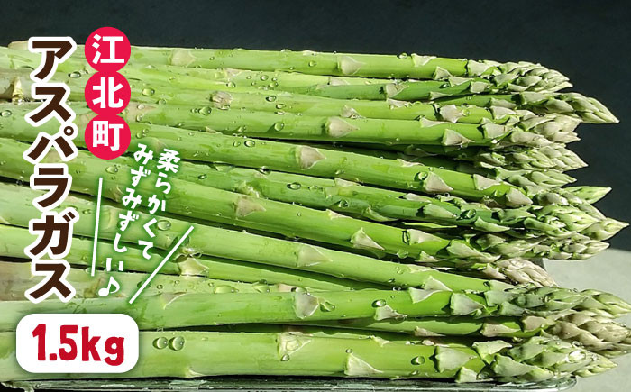 先行予約】【新鮮でみずみずしい】春芽アスパラガス 1.5kg【けいちゃん農園】アスパラ 春野菜 [HCC007] - 佐賀県江北町｜ふるさとチョイス  - ふるさと納税サイト