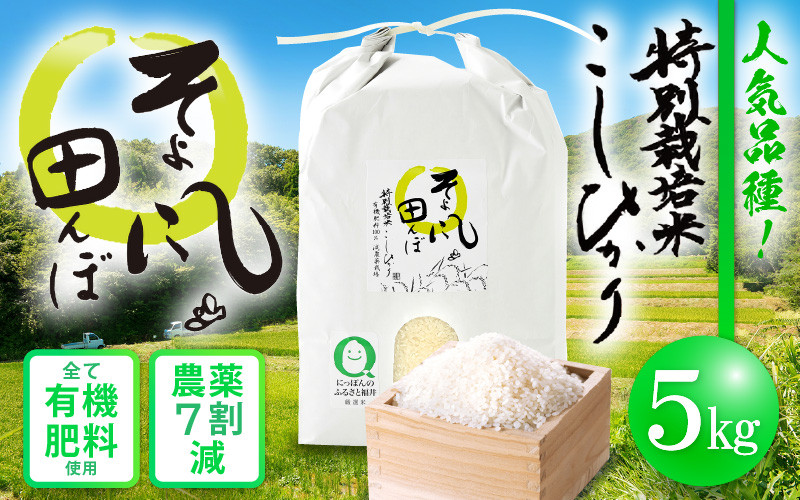 特別栽培米　プレミアムコシヒカリ-　有機肥料　玄米20kg　減農薬　令和2年