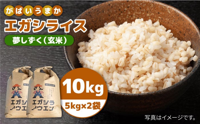 令和4年産 新米 がばいうまかエガシライス（夢しずく）玄米 10kg（5kg×2袋）【江頭農園】 [HAU005] - 佐賀県江北町｜ふるさとチョイス  - ふるさと納税サイト