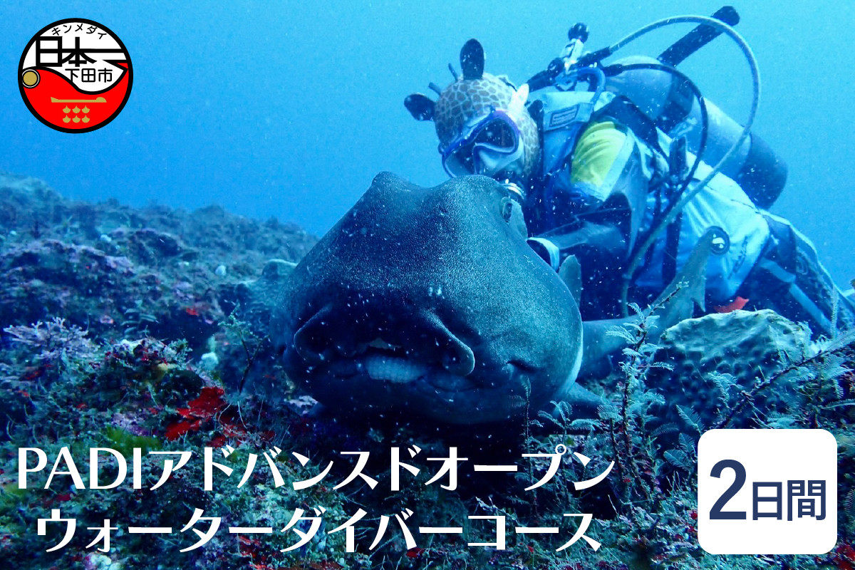 PADI アドバンスドオープンウォーターダイビング教材 - その他