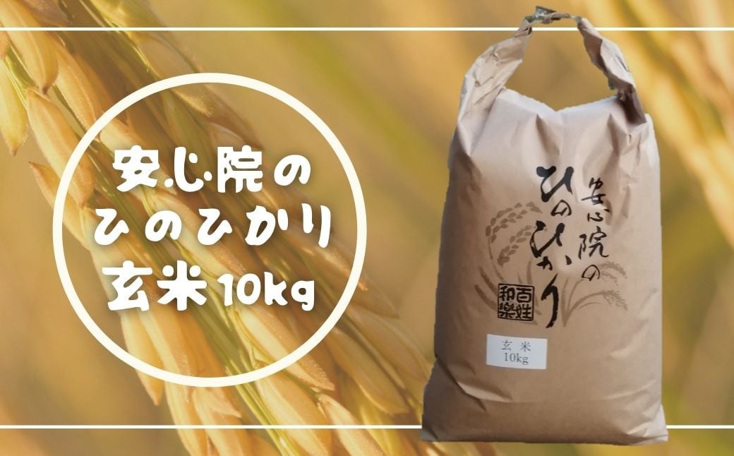 食品/飲料/酒令和3年度大分県産安心院米　玄米20kg