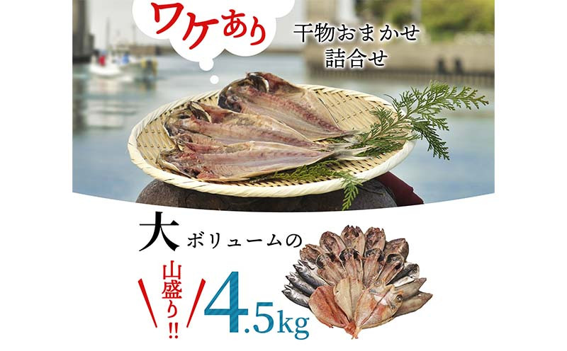 訳あり 干物 ひもの 4.5kg 大容量 山盛り おまかせ 詰め合わせ セット 本場沼津 - 静岡県沼津市｜ふるさとチョイス - ふるさと納税サイト