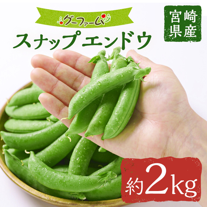 スナップエンドウ訳あり品 700g - 野菜