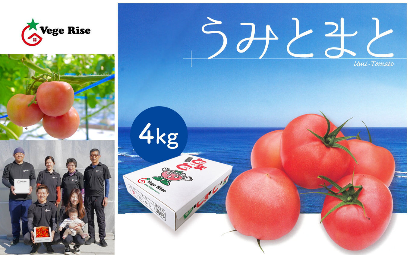 熊本県玉名市｜ふるさとチョイス　玉名市産トマト「うみとまと」　4kg　ふるさと納税サイト