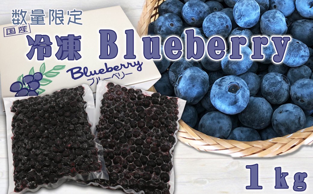 2022年 冷凍ブルーベリー 千葉県産 無農薬 1,5kg - フルーツ
