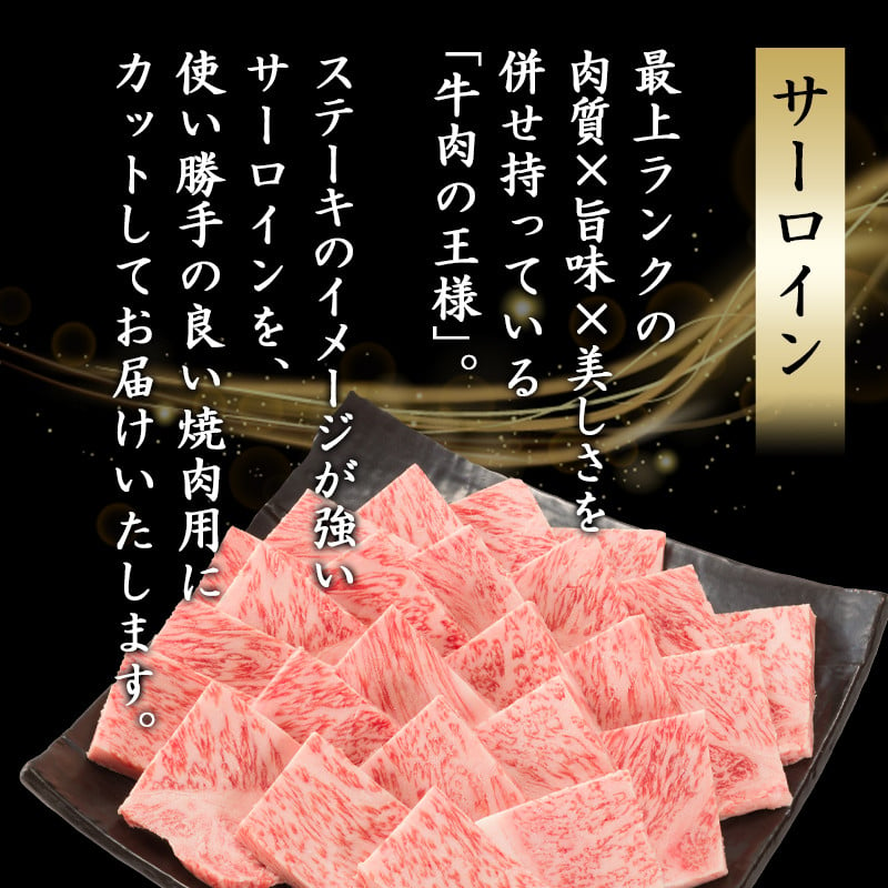 A5】宮崎牛サーロイン焼肉用500g_AE-0106_(都城市)最高級A5ランク 宮崎牛サーロイン焼肉用 500g 最高等級5等級 ブランド牛  国産牛肉 国産黒毛和牛 バーベキュー 焼き肉 ガッツリ 夏のイベント - 宮崎県都城市｜ふるさとチョイス - ふるさと納税サイト