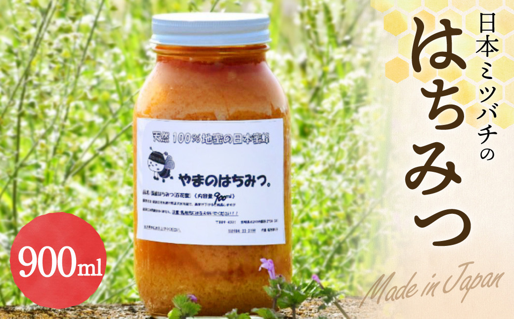 日本ミツバチ 蜂蜜 令和5年度 採れたて 600g×2 たれ蜜 非加熱 百花蜜