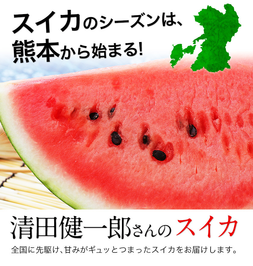 ふるさと納税 益城町 大玉すいか 1玉8kg以上 - すいか