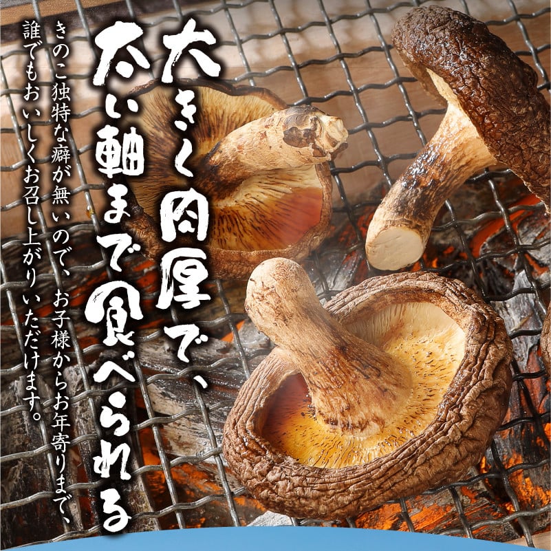 贈答用 生しいたけ(1kg) - 山梨県北杜市｜ふるさとチョイス - ふるさと納税サイト