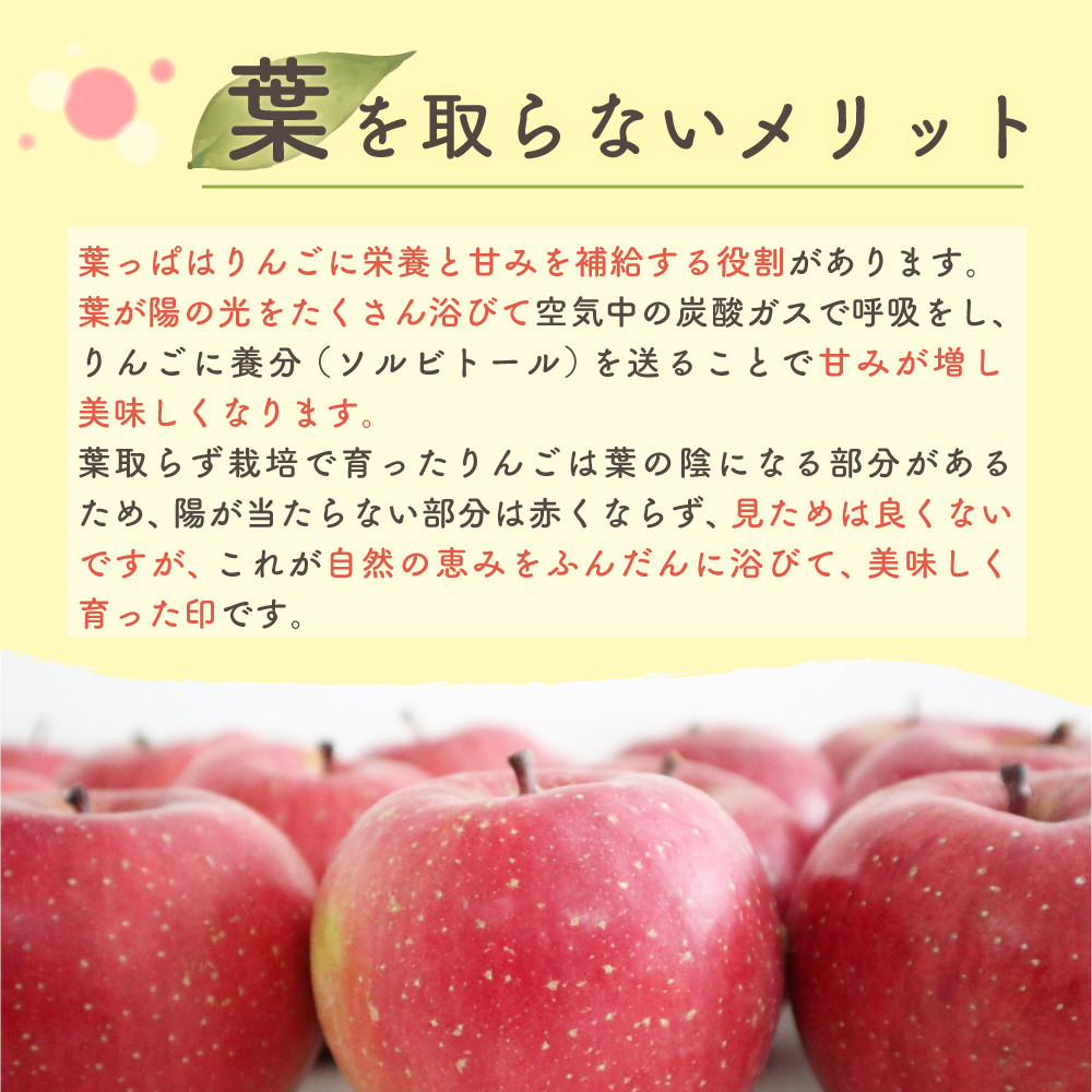 最大84％オフ！ りんご サンふじ 葉取らず 10kg 32〜36玉 ×4箱 青森県産 津軽 つがる リンゴ 0102 期間 数量 限定 フルーツ 旬  果物 農家 産直 新鮮 特産品 fucoa.cl