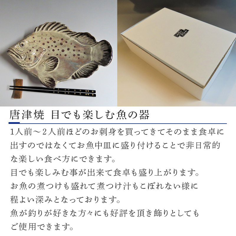 唐津焼 お魚 中皿シリーズ(キジハタ) 料理 食器 「2023年 令和5年」