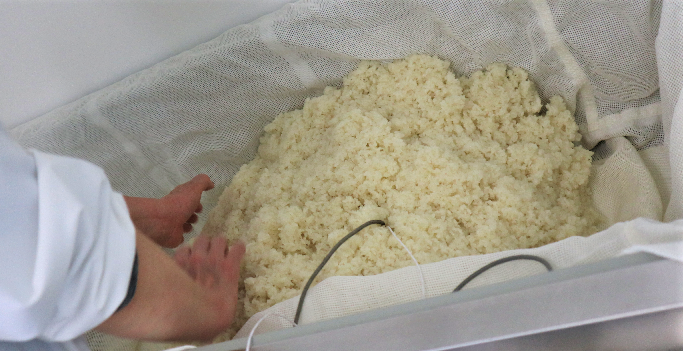 米と麹菌をもみこみ、温度管理ボックス（こうじくん）に寝かせています。