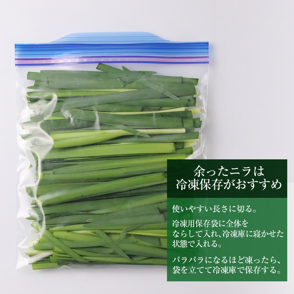 ☆2023年2～5月発送予約☆1番ニラ！！「北の華」20束【JA新はこだて】 - 北海道知内町｜ふるさとチョイス - ふるさと納税サイト