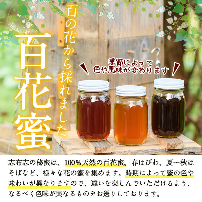 ふるさと納税 三重県 名張市 国産 非加熱 日本蜜蜂の蜂蜜 ２瓶