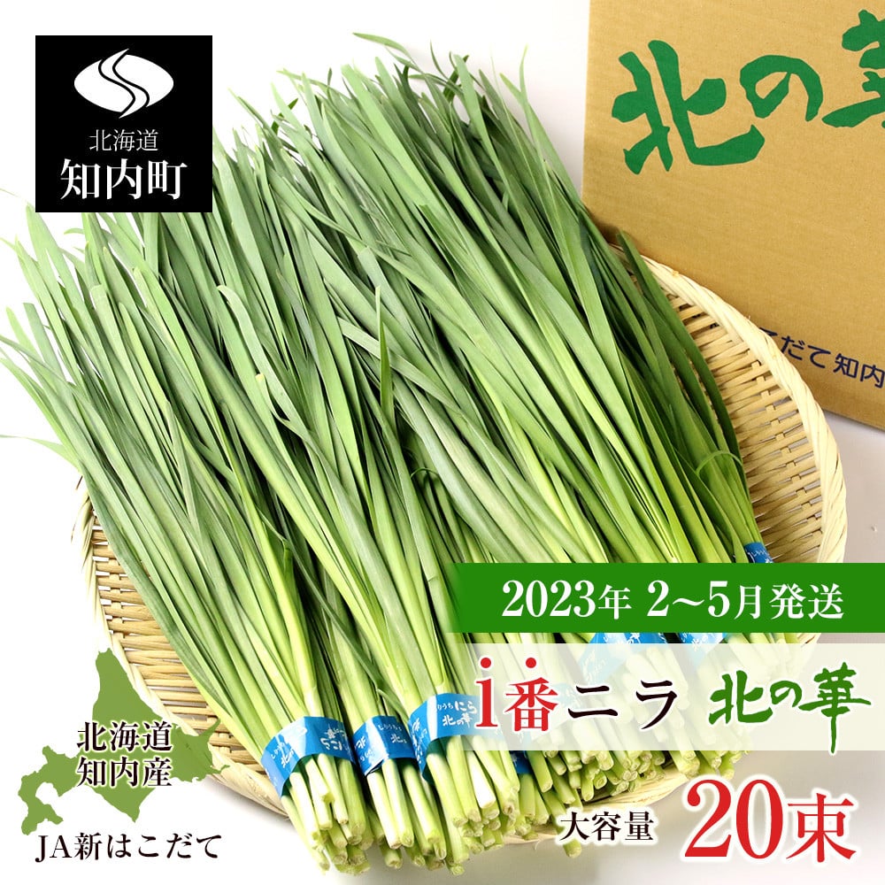 ☆2023年2～5月発送予約☆1番ニラ！！「北の華」20束【JA新はこだて】 - 北海道知内町｜ふるさとチョイス - ふるさと納税サイト