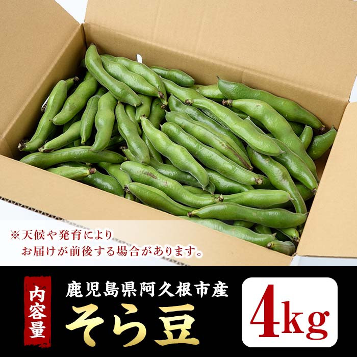 鹿児島県産 そら豆MLサイズ 3〜4粒 約4キロ c - 野菜