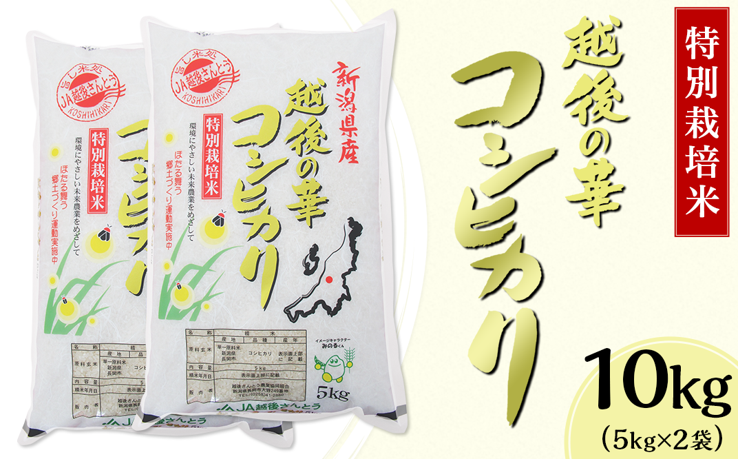 売却 ホタル舞う熊本産お米15kg zseo.tarman.pl