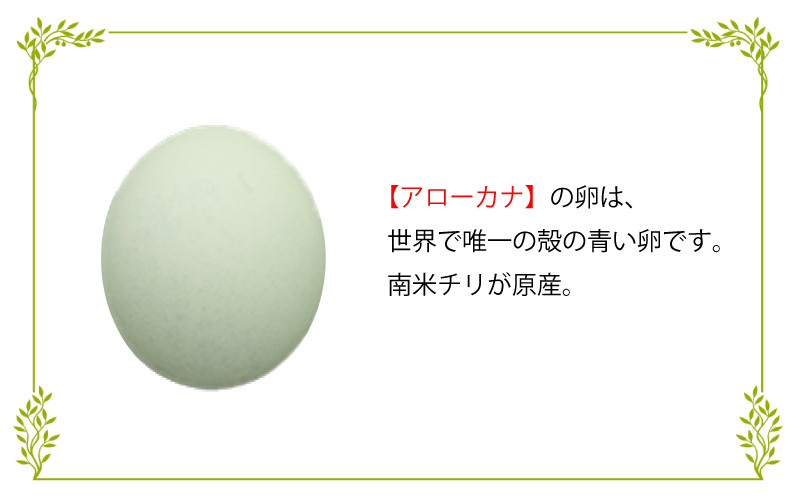 【価格改定予定】卵 あしたか牧場の卵 オリビア 味比べ 4種 計34個 たまご 玉子 鶏卵 生卵